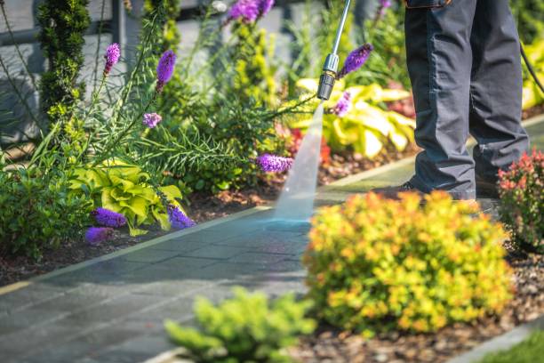 Best Dumpster Area Cleaning  in Minersville, PA